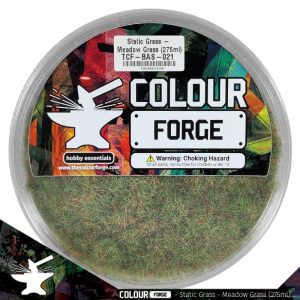 The Colour Forge Static Grass - Meadow Grass - TCF-BAS-021 - 5060843101048